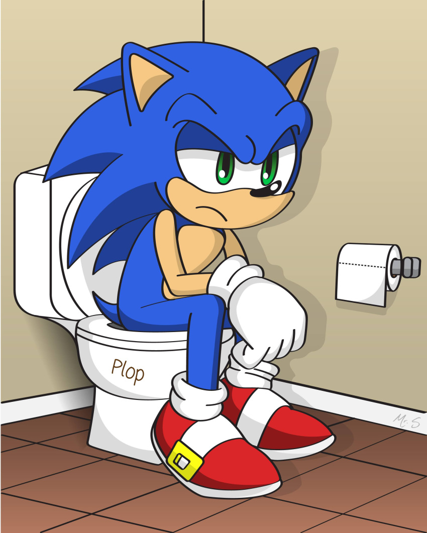 absurd_res bathroom clothing eulipotyphlan feces footwear gloves handwear hedgehog hi_res implied_scat male mammal mister-survocado mobian_hedgehog plop pooping red_clothing red_footwear red_shoes relieved scat sega shoes sitting sitting_on_toilet solo sonic_the_hedgehog sonic_the_hedgehog_(series) toilet toilet_paper toilet_use white_clothing white_gloves white_handwear