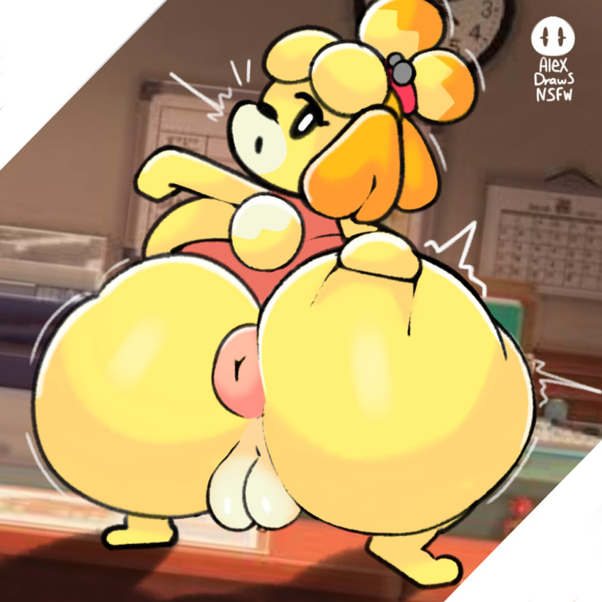 2023 alexdraws animal_crossing anthro anus canid canine canis clothed clothing crouching domestic_dog female fur genitals hi_res isabelle_(animal_crossing) looking_at_viewer looking_back mammal nintendo nude partially_clothed plump_labia puffy_anus pussy rear_view solo yellow_body yellow_fur