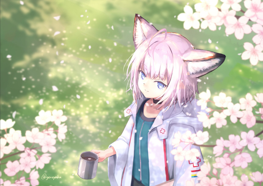 1girl ahoge animal_ears arknights black_choker blue_eyes blue_vest cherry_blossoms choker coat collarbone commentary_request cup fox_ears fox_girl from_above genjaku highres holding holding_cup labcoat long_sleeves looking_at_viewer outdoors purple_hair short_hair sidelocks smile solo sussurro_(arknights) upper_body vest white_coat wide_sleeves