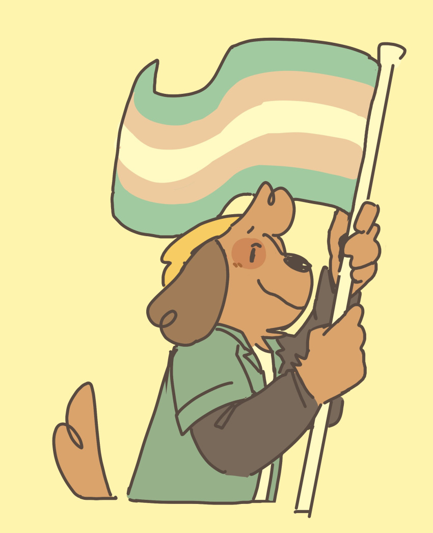 ambiguous_gender anthro beanie canid canine canis clothing doginacafe domestic_dog hat headgear headwear hi_res kip_(doginacafe) lgbt_pride mammal nonbinary_(lore) pride_color_flag pride_colors shirt simple_background solo topwear trans_(lore) transgender_pride_colors