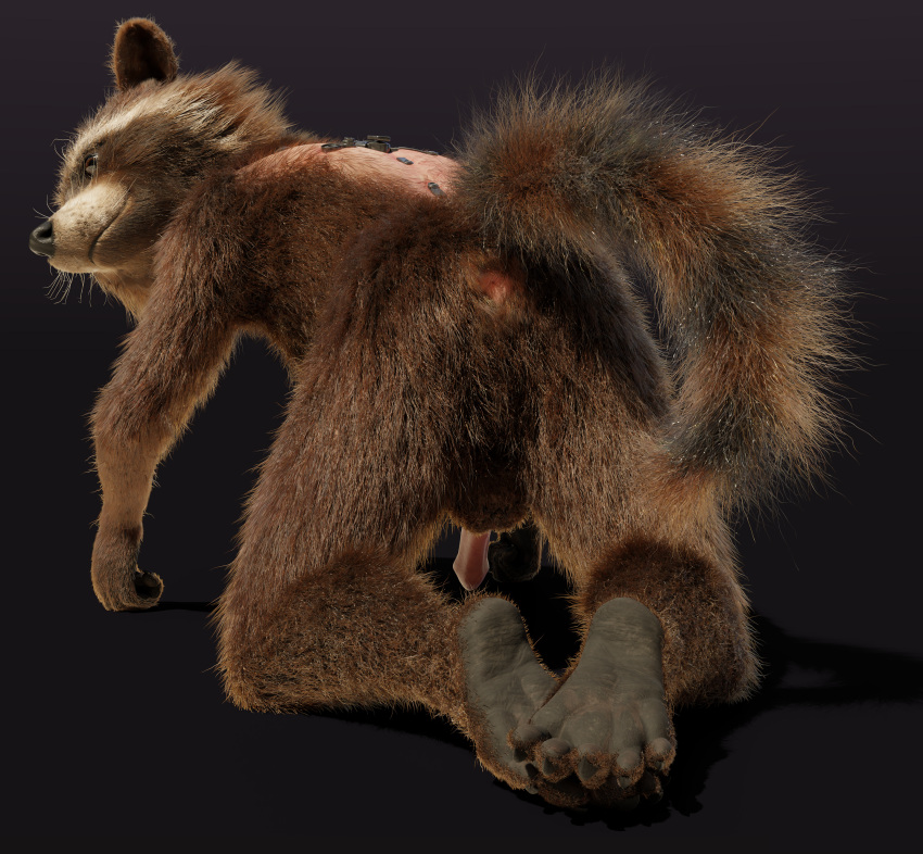 3d_(artwork) 5_fingers 5_toes absurd_res animal_genitalia anthro anus balls biped black_nose blender_(software) brown_body brown_eyes brown_fur butt cheek_tuft claws cybernetics digital_media_(artwork) disney facial_markings facial_tuft feet finger_claws fingers fur genitals guardians_of_the_galaxy head_markings hi_res looking_at_viewer looking_back machine male mammal markings marvel mask_(marking) multicolored_body multicolored_fur nude nude_anthro nude_male penis pink_penis plantigrade procyonid raccoon rear_view ring_(marking) ringtail rocket_raccoon rockyrcoon simple_background solo tail tail_markings toe_claws toes tuft whiskers white_ear_tips white_muzzle