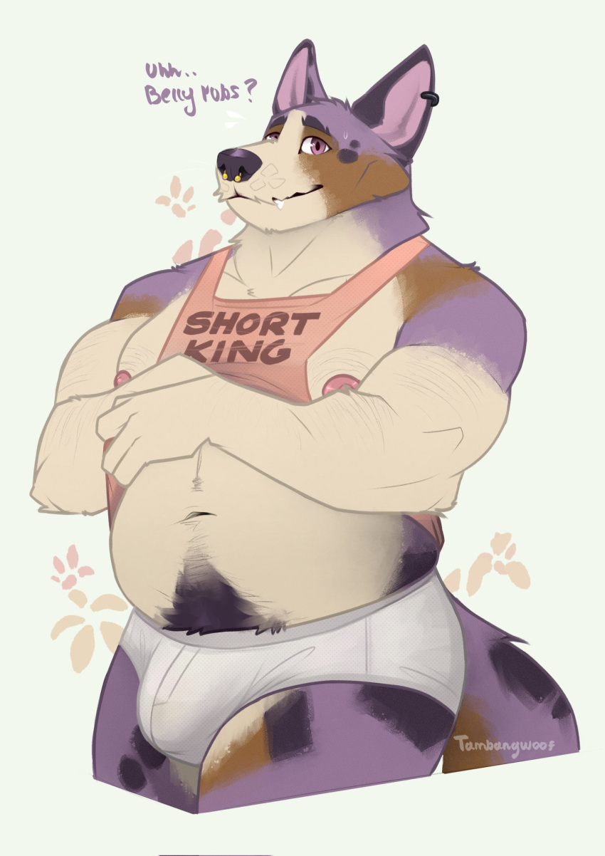2023 anthro bodily_fluids body_hair briefs bulge canid canine canis cardigan_welsh_corgi clothing dialogue domestic_dog ear_piercing english_text fur happy_trail herding_dog hi_res male mammal midriff multicolored_body multicolored_fur nipples pastoral_dog piercing portrait purple_body purple_eyes purple_fur requesting rory_(roantiger) shirt short_stack simple_background slightly_chubby solo sweat sweatdrop tail talking_to_viewer tambangwoof tank_top text text_on_clothing text_on_shirt text_on_tank_top text_on_topwear three-quarter_portrait tighty_whities topwear underwear welsh_corgi white_background white_briefs white_clothing white_underwear