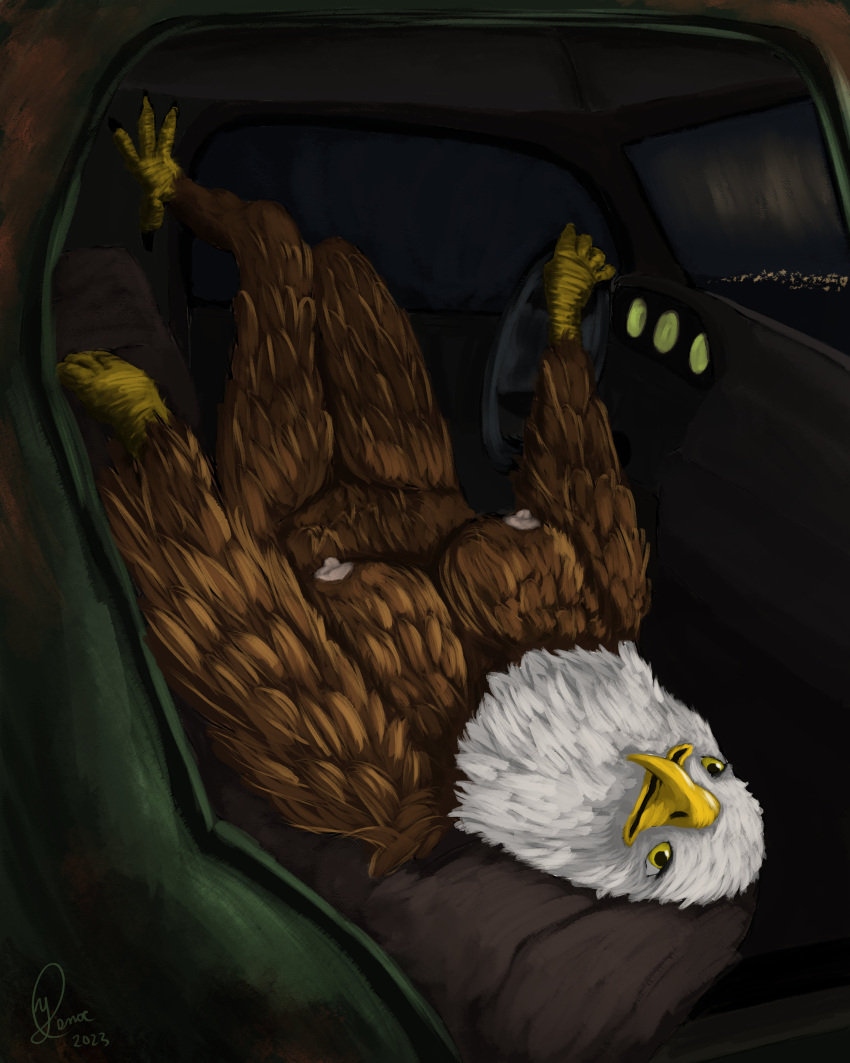 absurd_res accipitrid accipitriform anthro avian bald_eagle beak bird birdtember breasts car eagle feathers female hi_res interior_view lying night on_back sea_eagle solo vehicle yellow_eyes yenocwolf