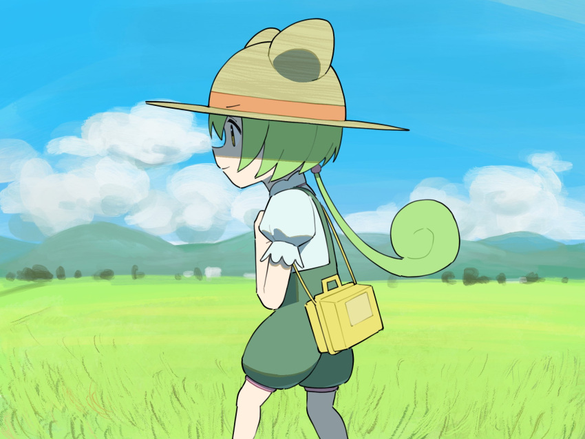 1girl animal_ear_headwear bag blue_sky closed_mouth cloud feet_out_of_frame field from_side green_hair green_shorts hat highres long_hair looking_ahead low_ponytail mountainous_horizon okepi outdoors profile puffy_short_sleeves puffy_shorts puffy_sleeves shirt short_sleeves shorts shoulder_bag sky smile solo standing straw_hat suspender_shorts suspenders v-shaped_eyebrows voicevox white_shirt yellow_eyes zundamon
