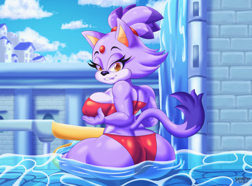 absurd_res anthro big_butt bite biting_lip blaze_the_cat breasts butt clothing domestic_cat felid feline felis female hi_res holding_breast looking_at_viewer mammal sega shadowthespirit sitting_in_water solo sonic_the_hedgehog_(series) swimwear water_palace_(sonic_rush)