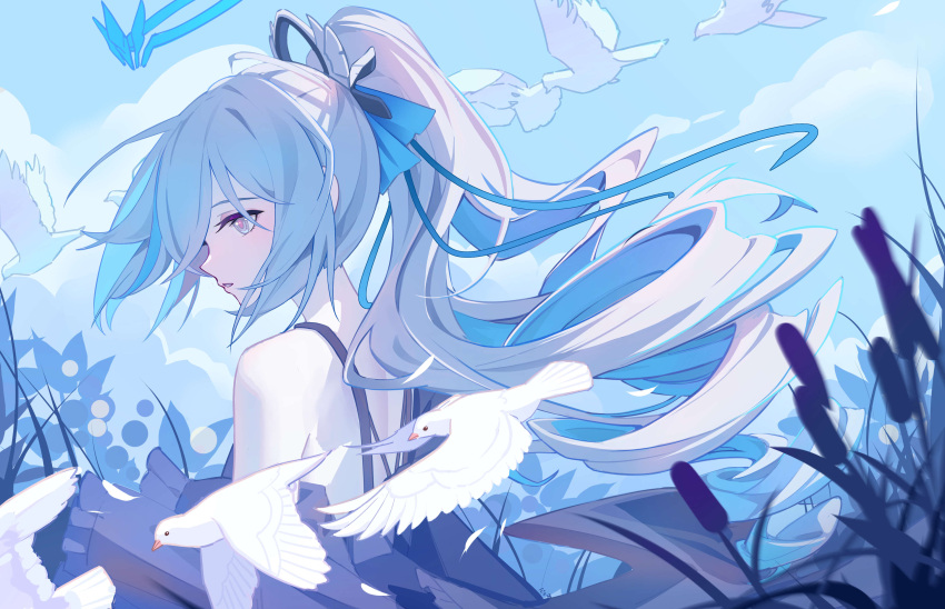 1girl absurdres ai_dongdong animal bare_shoulders bird blue_hair blue_sky bronya_zaychik cloud commentary day dress english_commentary grey_dress grey_eyes grey_hair hair_between_eyes highres honkai_(series) honkai_impact_3rd long_hair multicolored_hair outdoors parted_lips ponytail sky sleeveless sleeveless_dress solo two-tone_hair very_long_hair