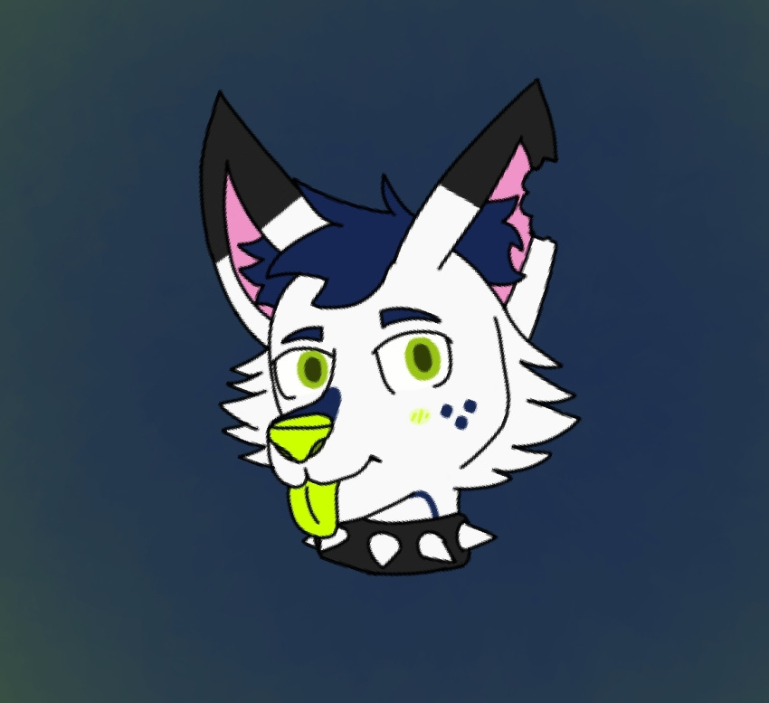 anthro arctic_fox bite black_body black_fur blue_body blue_eyebrows blue_fur blue_hair blush blush_lines canid canine cheek_tuft collar digital_media_(artwork) ear_bite ear_tuft eyebrows facial_tuft fox fur gradient_background green_eyes green_nose green_tongue hair hornybluboye_(artist) invisyarcticfox looking_at_viewer male mammal simple_background smile solo spiked_collar spikes tongue tuft white_body white_fur