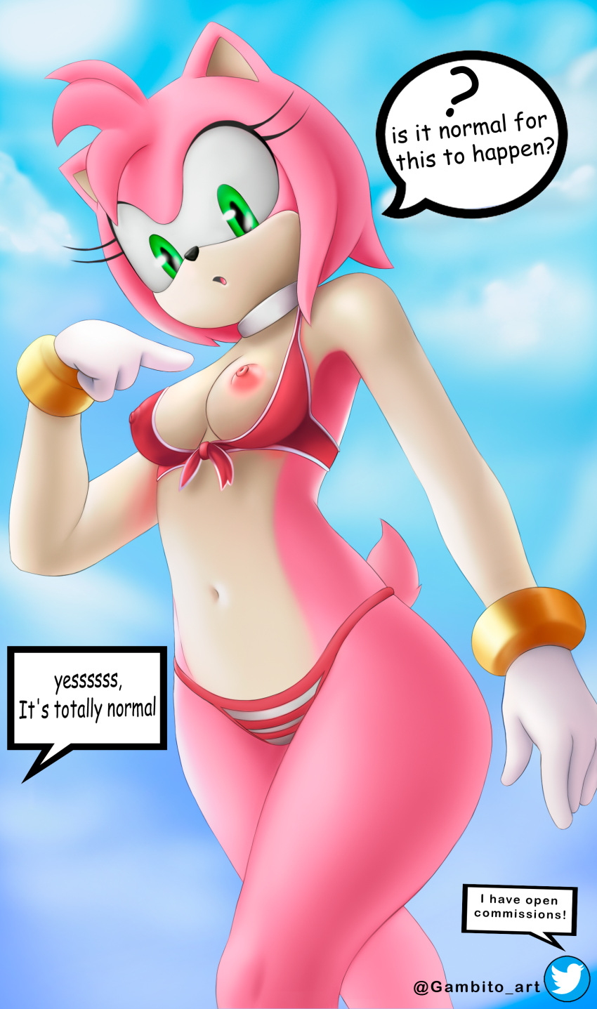 @gambito_art absurd_res amy_rose breasts erizo fan_character female female/female gambito234 hi_res invalid_tag nsfw opencommissions sega solo sonic_the_hedgehog sonic_the_hedgehog_(comics) sonic_the_hedgehog_(series)