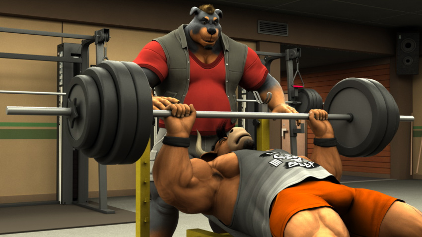 anthro armpit_hair barbell belly bench_press biceps black_body black_fur black_hair black_wristband blonde_hair body_hair bottomwear bovid bovine braford canid canine canis cattle chubby_anthro chubby_male clothing domestic_dog duo exercise facial_hair fur goatee graphic_tee grey_clothing grey_shirt grey_tank_top grey_topwear grey_vest gym hair house_of_beef julian_(braford) male mammal mastiff molosser multicolored_body multicolored_fur muscular muscular_anthro muscular_male muscular_thighs orange_body orange_bottomwear orange_clothing orange_fur orange_shorts oscar_(braford) pecs red_clothing red_shirt red_topwear rottweiler shirt shorts spotting tank_top text text_on_clothing text_on_shirt text_on_topwear topwear vest weight_bench weightlifting white_bottomwear white_clothing white_shorts workout wristband