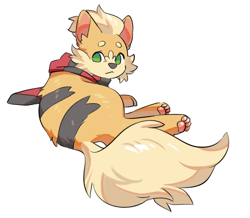 2023 4_toes aishasoup black_body black_fur black_nose facial_tuft feet feral fur generation_1_pokemon green_eyes growlithe hi_res inner_ear_fluff looking_at_viewer looking_back lying male nintendo nose_tuft on_side orange_body orange_fur pawpads paws pokemon pokemon_(species) scarf simple_background solo tan_body tan_fur tanashi toes tuft white_background