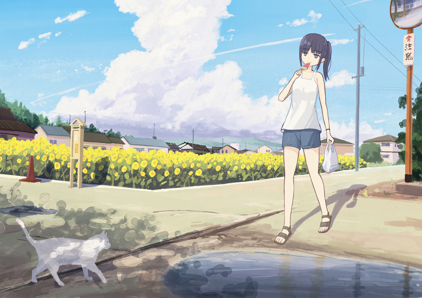 1girl bag bare_arms black_footwear black_hair blue_shorts blunt_bangs brown_eyes cat cloud collarbone contrail cumulonimbus_cloud enokitake field flower flower_field food holding holding_bag holding_food house medium_hair mirror mountainous_horizon original outdoors ponytail popsicle power_lines puddle road rural sandals scenery shorts sidelocks sign smile solo summer tank_top utility_pole walking watermelon_bar white_cat white_tank_top