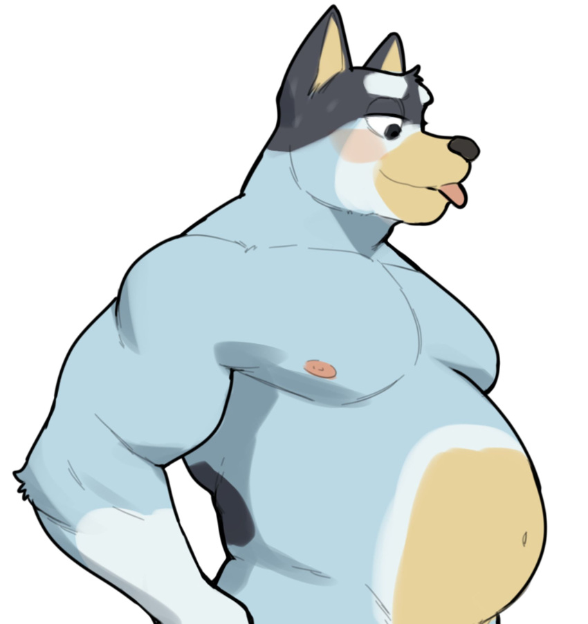 anthro australian_cattle_dog bandit_heeler biceps black_body black_fur blep blue_body blue_fur bluey_(series) blush canid canine canis cattledog domestic_dog fur hand_on_hip herding_dog hi_res jrjresq male mammal musclegut nipples nude pastoral_dog pecs simple_background solo tongue tongue_out yellow_body yellow_fur