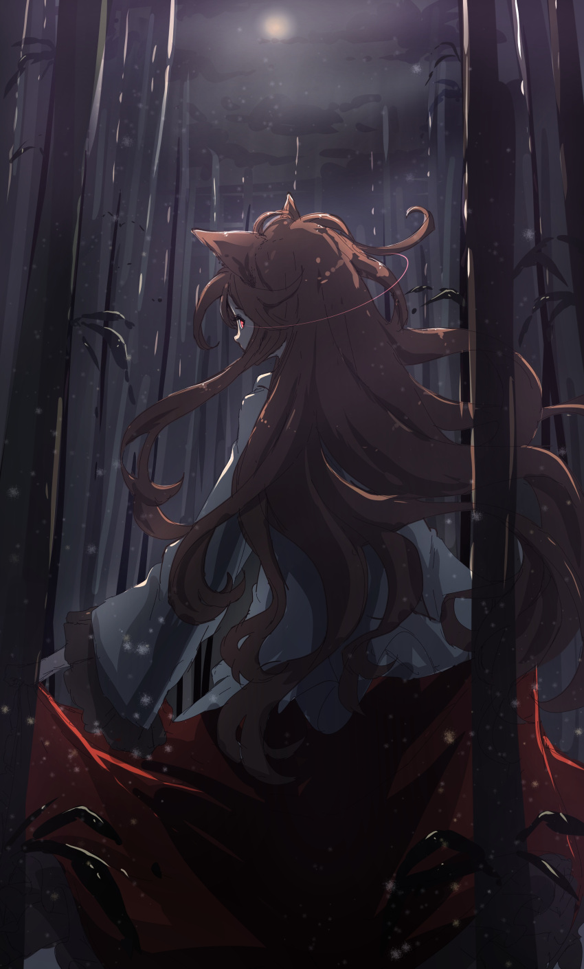 1girl absurdres animal_ears bamboo bamboo_forest darjeeling_(reley) dark forest highres imaizumi_kagerou nature night night_sky sky solo tail touhou wolf_ears wolf_tail