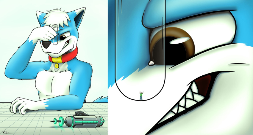 2016 5_fingers anthro arm_on_table black_nose blue_body blue_fur blueford_(rcode) brown_eyes canid canine canis clothed clothing collar colored container digital_drawing_(artwork) digital_media_(artwork) evil_grin fandroit fingers fur glass glass_container hair hi_res human larger_anthro larger_male macro male mammal micro shrink_ray shrinking signature simple_background size_difference size_transformation smaller_human smaller_male smile teeth topless topless_anthro topless_male transformation trapped vial white_body white_fur white_hair wolf