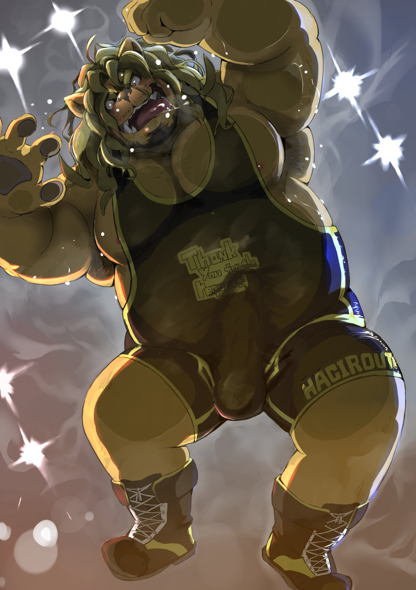 2023 absurd_res anthro biped bulge clothed clothing erection erection_under_clothing felid genital_outline hachirouta hi_res humanoid_hands kemono lion male mammal musclegut overweight overweight_male pantherine penis_outline wrestling_singlet