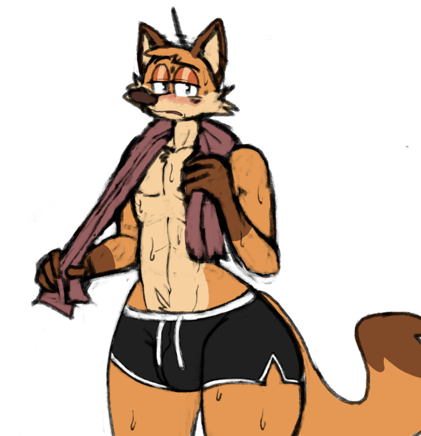 2023 absurd_res after_exercise anthro athletic big_butt blush bodily_fluids bottomwear bulge butt canid canine clothing digital_media_(artwork) eyebrows fox fur furfaggie half-closed_eyes hi_res hotpants looking_at_viewer male mammal narrowed_eyes orange_body orange_fur raised_eyebrow sheriff_hayseed shorts simple_background solo sweat thick_thighs todd_hayseed toned_stomach towel towel_around_neck white_background wide_hips