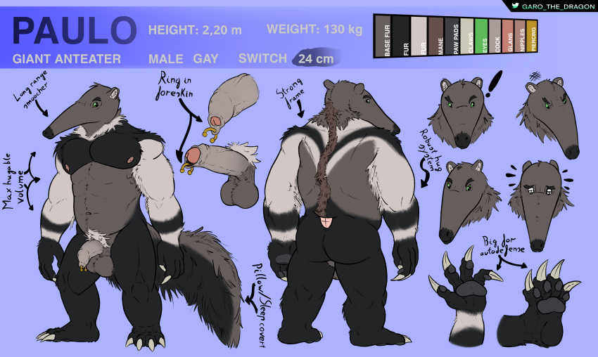 2023 4_toes absurd_res anteater balls brown_body butt claws digital_media_(artwork) expression_sheet fan_character feet fluffy fluffy_tail foreskin foreskin_piercing garo_(artist) genital_piercing genitals giant_anteater glans green_eyes hi_res male mammal mane model_sheet multiple_positions musclegut muscular paulo_(garo) pawpads paws penis perineum piercing pilosan pubes simple_background solo standing tail text toes vein veiny_penis xenarthran