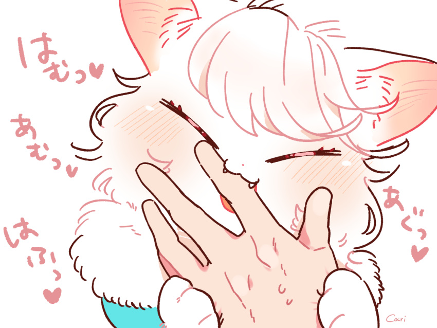 &lt;3 5_fingers ambiguous_gender anthro bangs bite blush bodily_fluids cheek_tuft clothing cocri cute_fangs domestic_cat duo eyelashes eyes_closed facial_tuft felid feline felis female female/ambiguous female_anthro finger_bite finger_in_mouth fingers fur hair hand_holding humanoid inner_ear_fluff japanese_text mammal open_mouth pink_nose princess_koyuki_(cocri) short_hair signature simple_background sweat sweatdrop teeth text tuft wavy_hair white_background white_body white_fur white_hair white_skin