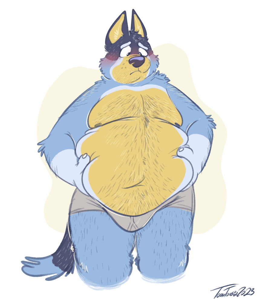 2023 anthro australian_cattle_dog bandit_heeler belly belly_grab belly_squish big_belly bluey_(series) blush body_hair bulge canid canine canis cattledog chest_hair claws clothed clothing curritoss domestic_dog eyebrows front_view frown fur herding_dog hi_res leg_hair love_handles male mammal moobs navel nipples overweight overweight_anthro overweight_male pastoral_dog self-conscious signature simple_background solo squish standing stomach_hair thick_thighs topless topless_anthro topless_male tuft underwear underwear_only white_background