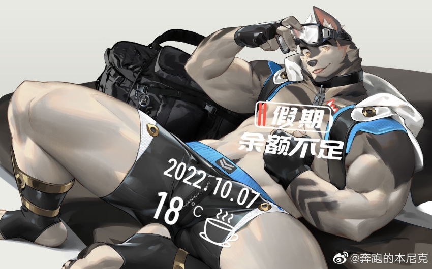 1boy :p abs animal_ears bara bare_pectorals beard beenic biceps black_shorts dog_boy dog_ears facial_hair feet_out_of_frame furry furry_male goggles goggles_on_head grey_fur gyee highres horikwawataru large_pectorals looking_at_viewer male_focus muscular muscular_male nipples original pectorals second-party_source shiny_skin short_hair shorts sleeveless solo spread_legs thick_eyebrows thick_thighs thighs tongue tongue_out