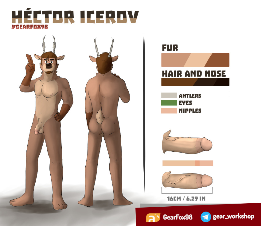 4_toes absurd_res anthro antlers beard butt cervine circumcised circumcision_scar deer digital_media_(artwork) facial_hair feet gearfox98 genital_scar genitals green_eyes hair hector_(gearfox98) hi_res horn humanoid_genitalia humanoid_penis male mammal model_sheet nude pecs penis scar solo tail toes vein veiny_penis