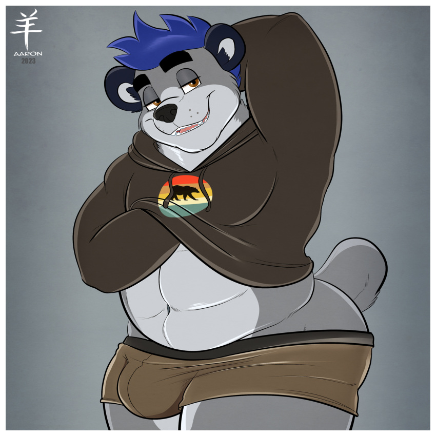 aaron_(artist) anthro bear bedroom_eyes border bulge clothed clothing fur grey_body grey_fur hair hand_behind_head hi_res looking_at_viewer male mammal narrowed_eyes purple_hair raised_clothing raised_sweater raised_topwear seductive slightly_chubby solo sweater topwear underwear white_border