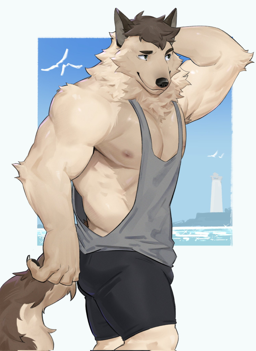 anthro biceps bottomwear brown_hair canid canine canis clothing hair hand_behind_head hi_res ixkouu male mammal muscular muscular_male nipples pecs shirt shorts sky smile solo standing tail tan_body tank_top topwear wolf