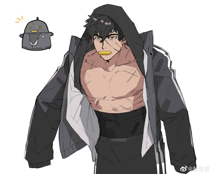 1boy absurdres bannriishi bara bare_pectorals black_hair comparison doudanuki_masakuni feet_out_of_frame highres hood hooded_jacket jacket looking_ahead male_focus midriff_peek mouth_hold open_clothes open_jacket pectorals scar scar_on_face scar_on_nose short_hair solo thick_eyebrows toned toned_male touken_ranbu track_jacket