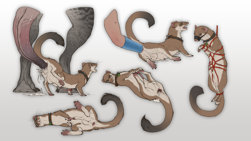 anal anatomically_correct balls bdsm bodily_fluids bondage bound cum cum_inside drawing feral fisting gaping genital_fluids genitals hi_res male mammal mustelid musteline paws penetration penis sketch sketch_page stoat stygimoloch_(artist) true_musteline weasel weasely