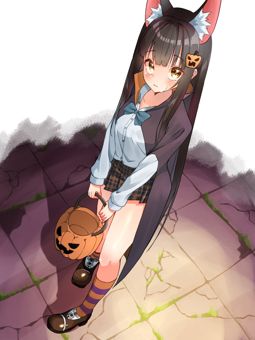 1girl animal_ear_fluff animal_ears azur_lane black_cape black_hair blue_bow blue_bowtie blunt_bangs blush bow bowtie brown_footwear bucket cape checkered_clothes checkered_skirt closed_mouth collared_shirt food-themed_hair_ornament fox_ears from_above hair_ornament halloween_bucket halloween_costume highres holding holding_bucket long_hair long_sleeves looking_at_viewer marimo_daifuku miniskirt nagato_(azur_lane) pumpkin_hair_ornament shadow shirt skirt socks solo standing striped striped_socks sweatdrop very_long_hair white_shirt yellow_eyes