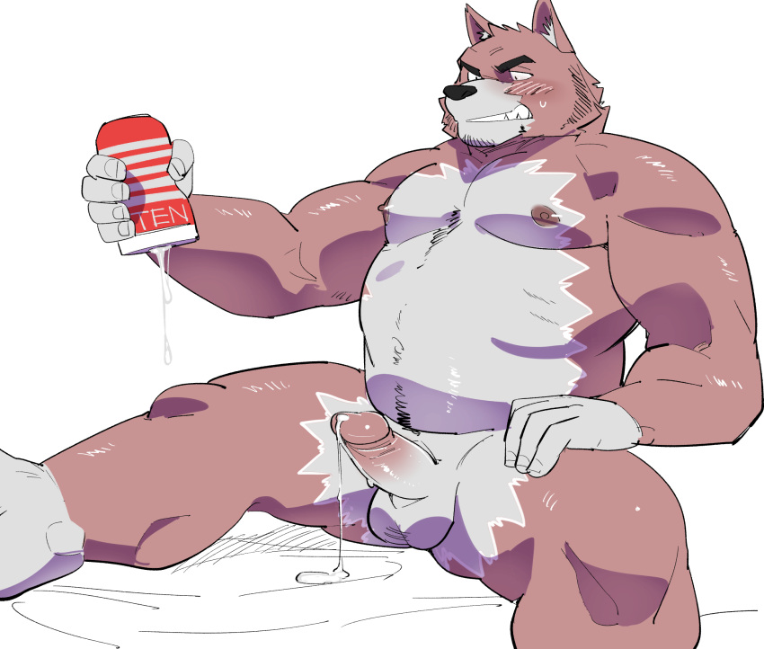 2023 after_masturbation anthro balls blush brown_body canid canine canis domestic_dog erection genitals hi_res kemono male mammal musclegut penis sex_toy sitting slightly_chubby solo tenga ujishiyo