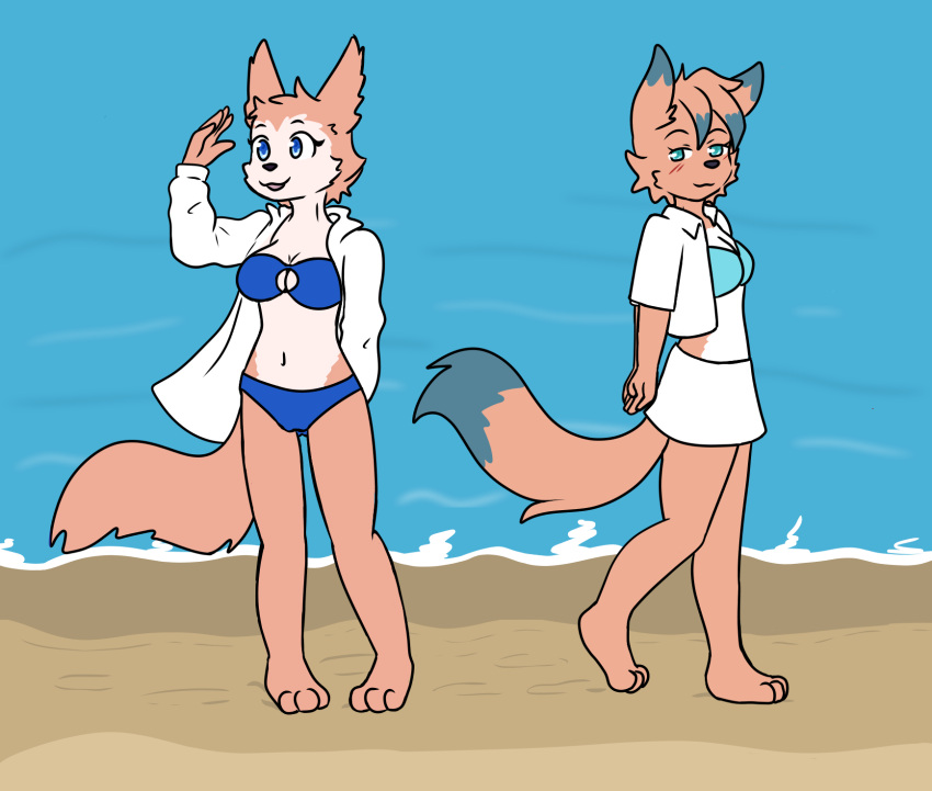 anthro beach bedroom_eyes bikini blue_eyes blush bottomwear canid canine canis cleavage_cutout clothed clothing dipstick_tail domestic_dog duo female fiona_(artist) fur hi_res husky kaoru_(rushthewolf) mammal markings midriff narrowed_eyes navel nordic_sled_dog orange_body orange_fur seaside seductive shiki_(rushthewolf) skirt spitz swimwear tail tail_markings water wolf