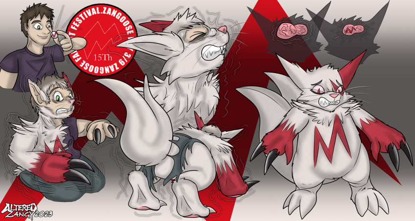 2023 altered-zangy feral fur generation_3_pokemon hi_res human male mammal markings nintendo pokemon pokemon_(species) red_markings solo tail transformation white_body white_fur zangoose zangoose_day