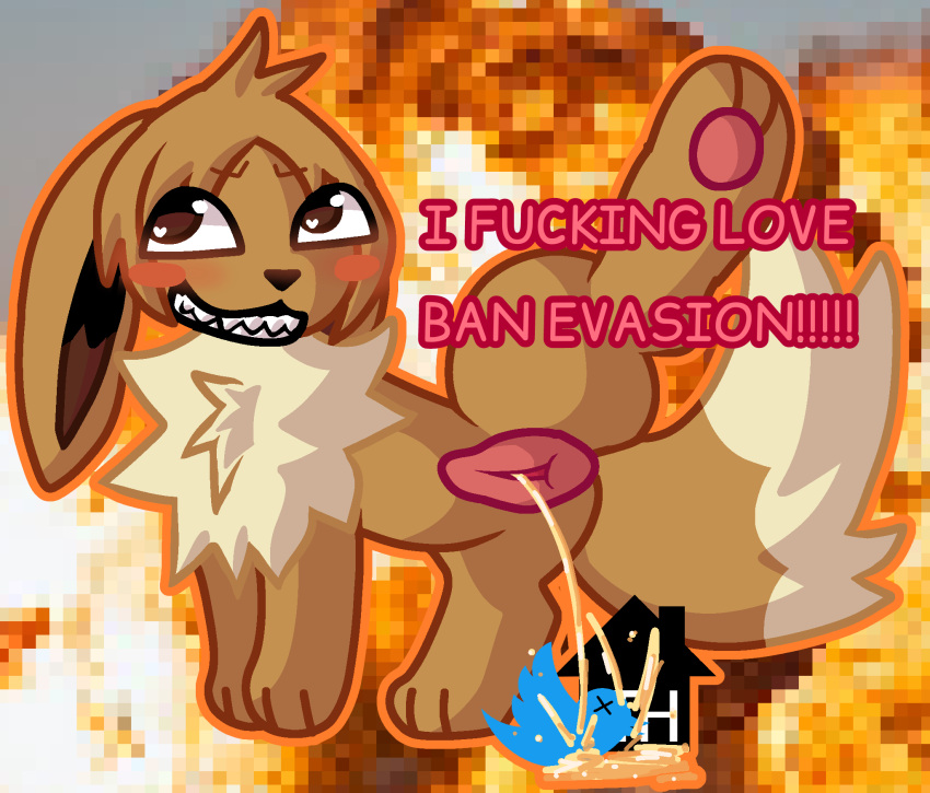 &lt;3 animal_genitalia animal_pussy bared_teeth bodily_fluids building canine_genitalia canine_pussy death duo eevee eeveelution epic_face explosion feet female feral feralmunchies foot_focus generation_1_pokemon genital_fluids genitals glistening glistening_eyes hi_res house humor ibispaintx joke meme nintendo nonbinary_(lore) peeing photo_background photography_(artwork) pixelated_background pokemon pokemon_(species) presenting presenting_pussy pussy satire solo_focus text third-party_edit toyhouse_(website) toyhouse_logo trans_(lore) trans_man_(lore) twitter twitter_bird twitter_logo urine urine_pool urine_stream x_eyes