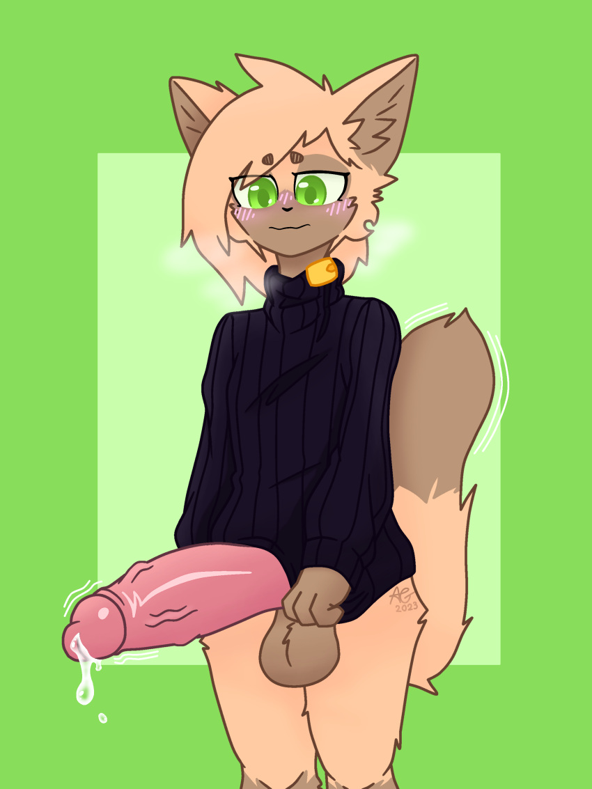 absurd_res alxdraws anthro balls big_balls big_penis blush bodily_fluids clothing domestic_cat felid feline felis fluffy fluffy_tail genital_fluids genitals hi_res male mammal penis precum siamese solo solo_focus sweater tail topwear