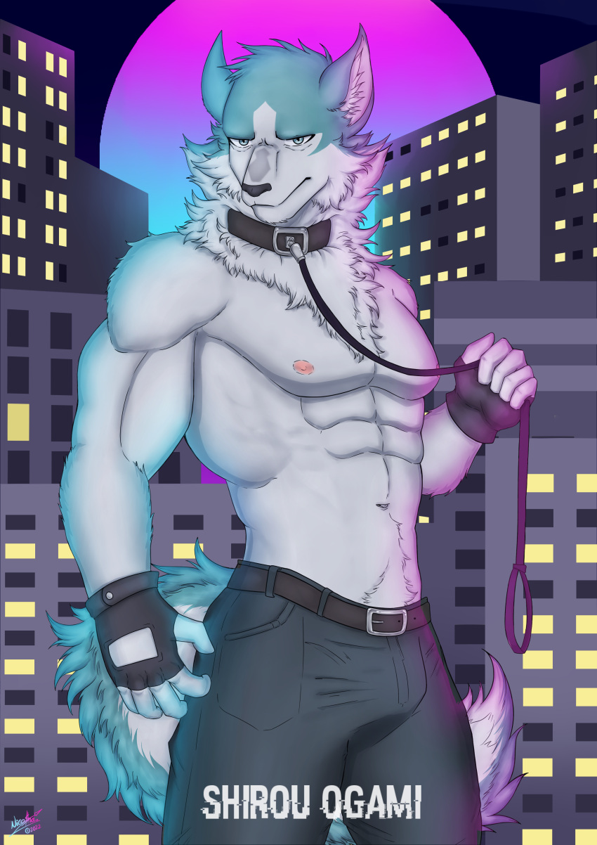 absurd_res anthro biceps blue_body blue_fur brand_new_animal canid canine canis city cityscape clothed clothing collar digital_media_(artwork) fur gloves good_boy hair handwear hi_res leash leashed_collar looking_at_viewer male mammal muscular muscular_anthro muscular_male neon_lights nipples pecs pinup pistacho pose shirou_ogami simple_background solo studio_trigger tail wolf