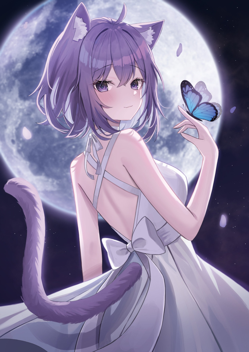 1girl absurdres ahoge alternate_costume animal_ears backless_dress backless_outfit backlighting bare_arms bare_shoulders breasts bug butterfly cat_ears cat_tail choker closed_mouth dress from_behind full_moon hand_up highres hololive looking_back median_furrow medium_breasts moon nannung nekomata_okayu purple_eyes purple_hair ribbon_choker sleeveless sleeveless_dress smile solo sundress tail tail_through_clothes upper_body virtual_youtuber white_choker white_dress