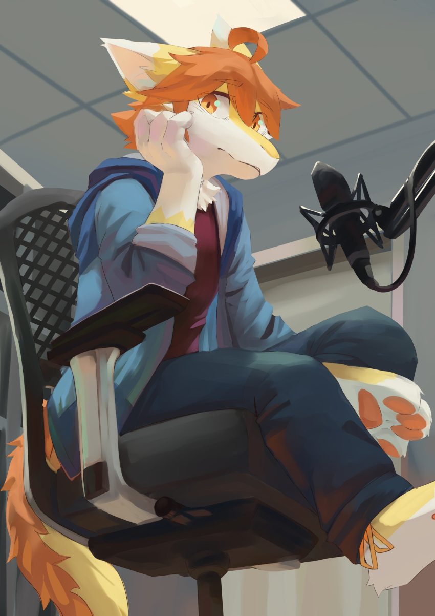 absurd_res anthro blue_bottomwear blue_clothing blue_jacket blue_pants blue_topwear bottomwear chair clothed clothing dragon fur furniture furred_dragon glistening glistening_eyes hair hi_res inside jacket kutto kuttoyaki looking_at_viewer male mouth_closed on_chair orange_eyes orange_hair orange_pawpads pants pawpads red_clothing red_topwear sitting sitting_on_chair solo three-quarter_view topwear white_body white_fur yellow_body yellow_fur