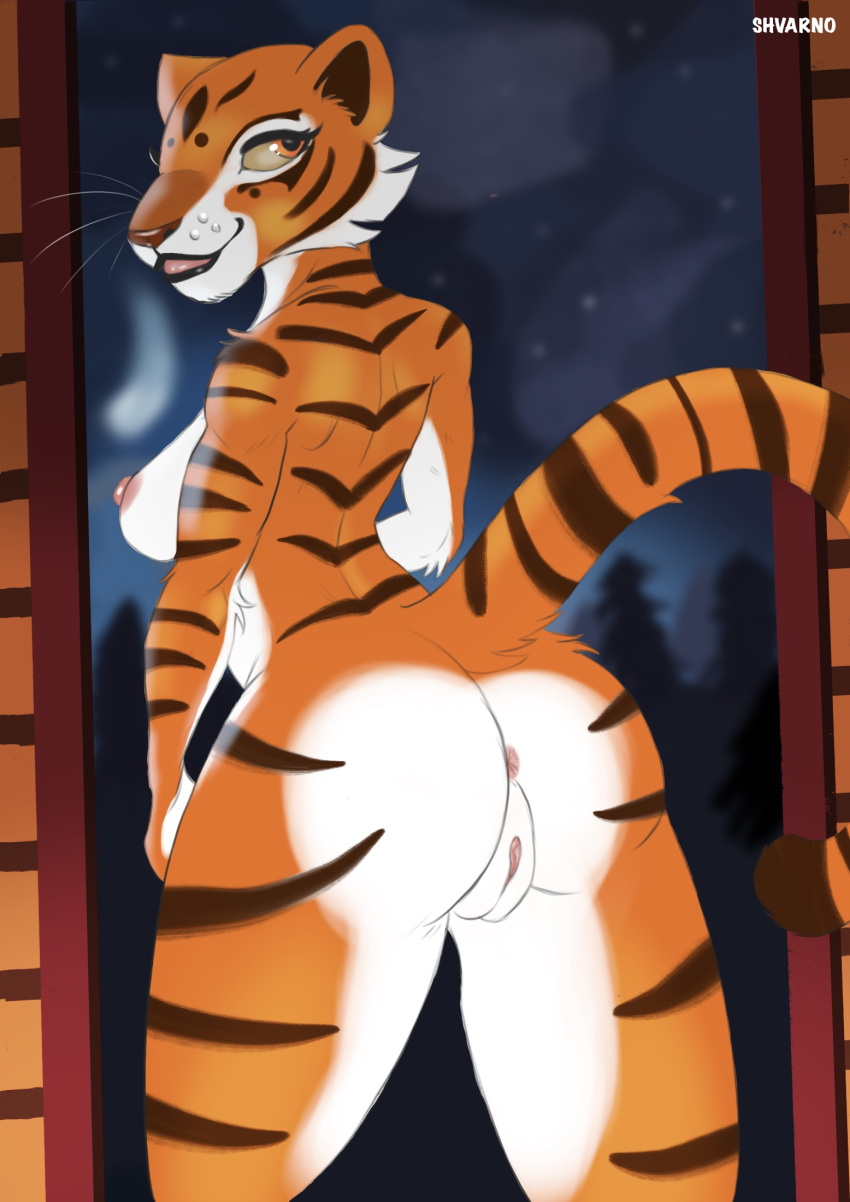 anthro anus areola big_butt breasts butt dreamworks felid female fur genitals hi_res kung_fu_panda mammal master_tigress nipples orange_body orange_fur pantherine pussy raised_tail shvarno solo tail thick_thighs tiger tongue white_body white_fur wide_hips yellow_sclera