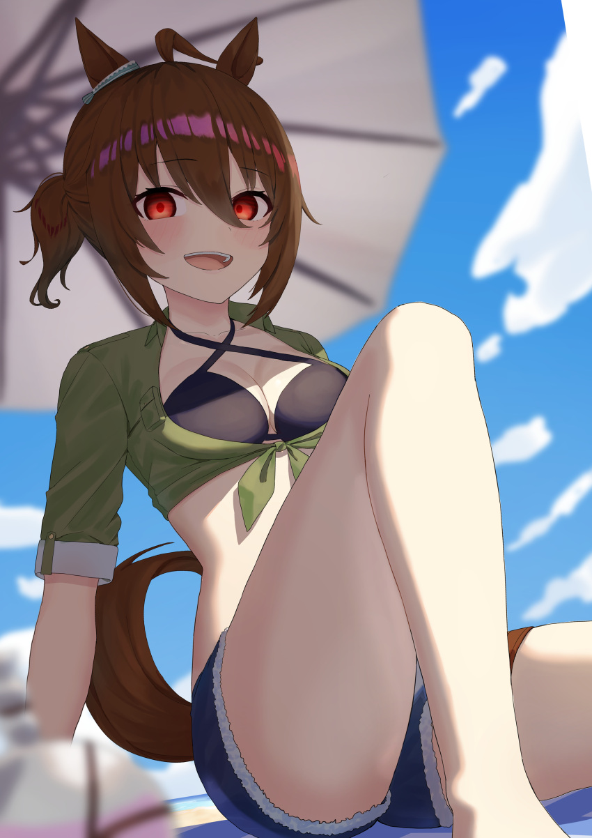 1girl absurdres agnes_tachyon_(lunatic_lab)_(umamusume) agnes_tachyon_(umamusume) ahoge animal_ears bikini black_bikini blue_shorts blurry blurry_background brown_hair commentary criss-cross_halter depth_of_field feet_out_of_frame flask green_jacket hair_between_eyes halterneck highres horse_ears horse_girl horse_tail jacket looking_at_viewer official_alternate_costume official_alternate_hairstyle parasol red_eyes round-bottom_flask rukimi8787 short_ponytail short_shorts shorts solo summer's_sunlight_fades_to_blue_(umamusume) swimsuit tail tied_jacket umamusume umbrella