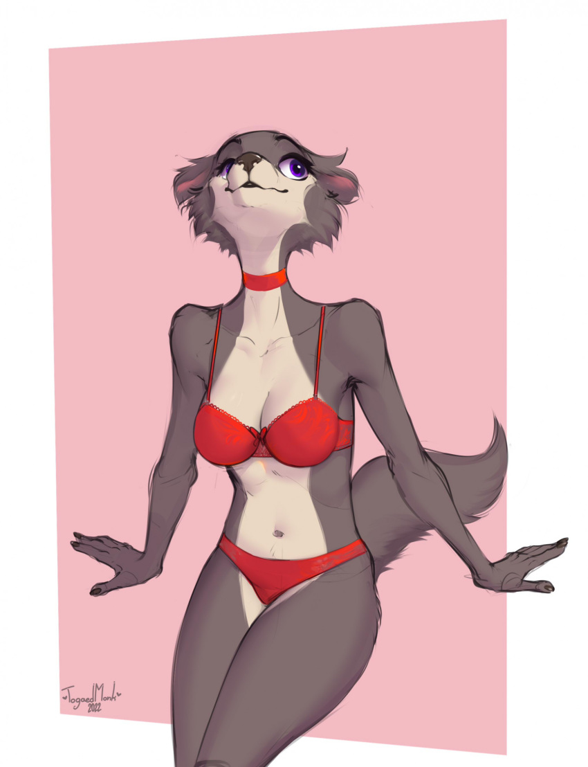 anthro beastars bra breasts brown_body brown_fur canid canine canis cheek_tuft choker clothing facial_tuft female front_view fur hi_res jewelry juno_(beastars) lingerie mammal necklace panties purple_eyes smile solo togaed tuft underwear wolf