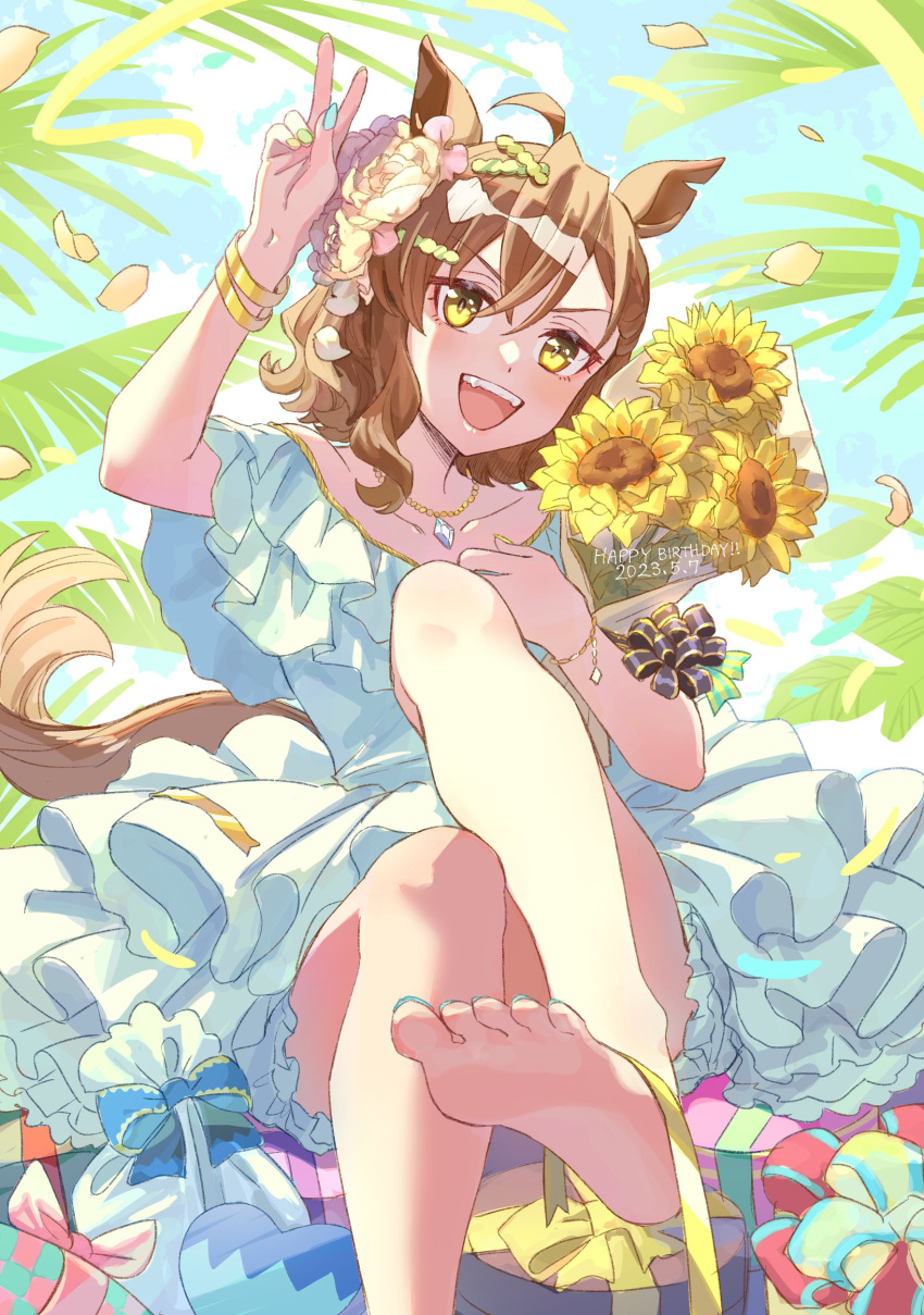 1girl absurdres ahoge animal_ears arm_up barefoot bouquet box breasts brown_hair collarbone crossed_bangs dated dress fangs feet flower gift gift_bag gift_box hair_ornament hairclip happy_birthday highres holding holding_bouquet horse_ears horse_girl horse_tail jewelry jungle_pocket_(umamusume) looking_at_viewer medium_hair multicolored_nails nayuta_ggg necklace notched_ear off-shoulder_dress off_shoulder open_mouth outdoors petals ribbon sitting small_breasts smile solo sunflower tail teeth toes umamusume upper_teeth_only v white_dress wristband yellow_eyes