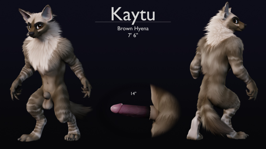 2023 anthro balls blender_(software) brown_eyes brown_hyena english_text erection fur genitals hi_res humanoid_genitalia humanoid_penis hyena kaytu male mammal model_sheet nude penis ruaidri simple_background solo striped_body striped_fur stripes text