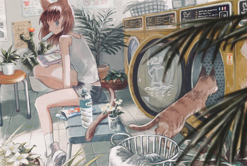1girl animal_ears blue_eyes blue_shorts brown_hair cactus cat cat_ears cat_girl cat_tail eokaku_surimi flower food_in_mouth handheld_game_console highres holding holding_handheld_game_console indoors laundromat laundry_basket looking_at_viewer original plant plastic_bottle popsicle_in_mouth poster_(object) potted_plant shirt shorts sitting sitting_on_bench sleeveless solo stool tail tile_floor tiles washing_machine white_flower white_shirt