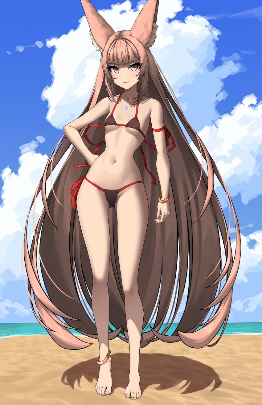 1girl absurdres alternate_costume animal_ear_fluff animal_ears anklet ass_visible_through_thighs bikini breasts brown_bikini brown_eyes brown_hair cameltoe chest_jewel closed_mouth cloud cloudy_sky commentary day feet full_body hand_on_own_hip highres jewelry legs long_hair looking_at_viewer navel nia_(blade)_(xenoblade) nia_(xenoblade) outdoors red_bikini romaji_commentary shadow side-tie_bikini_bottom sidelocks sky small_breasts smile solo standing swimsuit thighs toenails toes two-tone_bikini very_long_hair x_xith_x xenoblade_chronicles_(series) xenoblade_chronicles_2