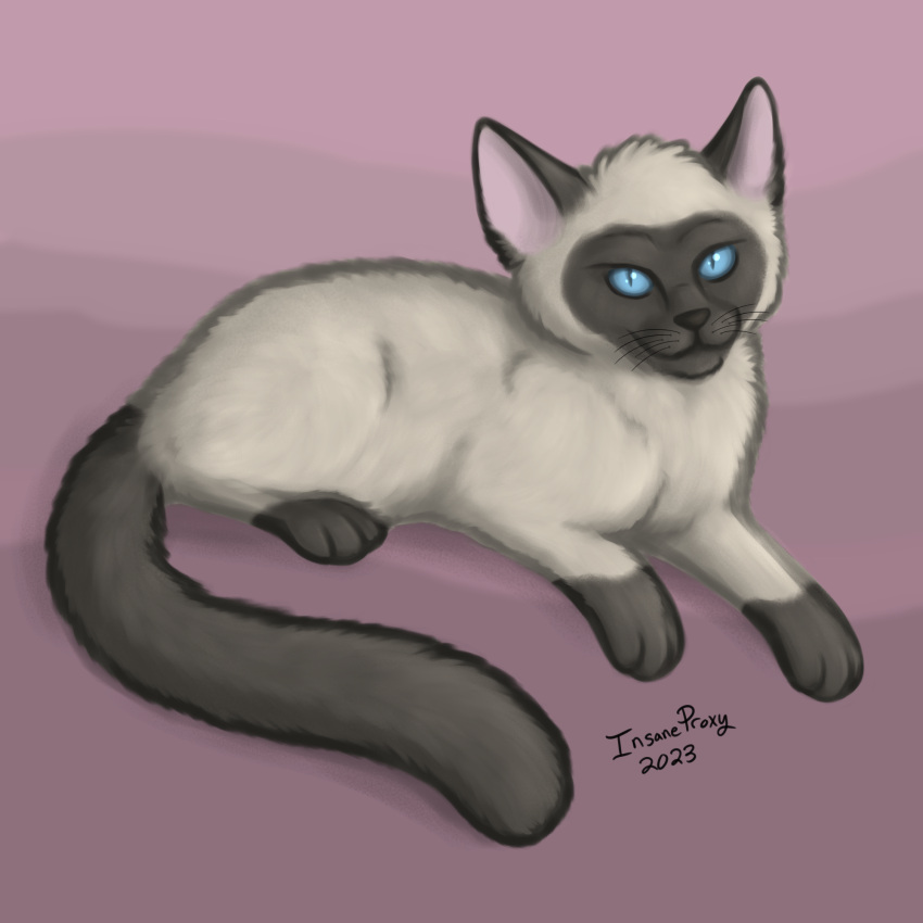 ambiguous_gender blue_eyes domestic_cat felid feline felis feral hi_res himalayan_cat insaneproxy_(artist) mammal simple_background solo