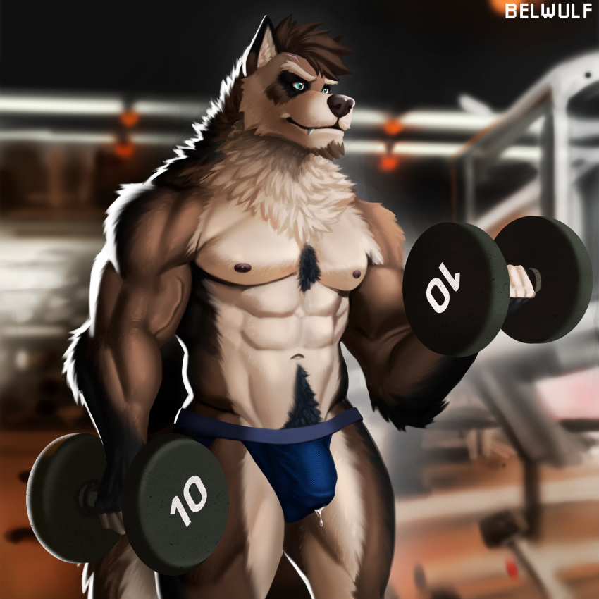 abs absurd_res anthro belwulf bicep_curl biceps blue_eyes bodily_fluids body_hair brown_body brown_fur bulge canid canine canis chest_hair chest_tuft chin_tuft clothed clothing dripping dumbbell exercise exercise_equipment eyebrows facial_hair facial_tuft fur genital_fluids genital_outline genitals goatee gym hair hi_res humanoid_genitalia humanoid_penis jockstrap jockstrap_only leaking_precum male mammal mexican_wolf multicolored_body multicolored_fur muscular muscular_anthro muscular_male neck_tuft nipples pecs penis penis_outline precum precum_drip precum_through_clothing precum_through_underwear pubes sade_(canonical) solo solo_focus tail thick_eyebrows topless tuft two_tone_body two_tone_fur underwear underwear_only vein veiny_muscles weightlifting weights wet wet_clothing white_body white_fur wolf workout