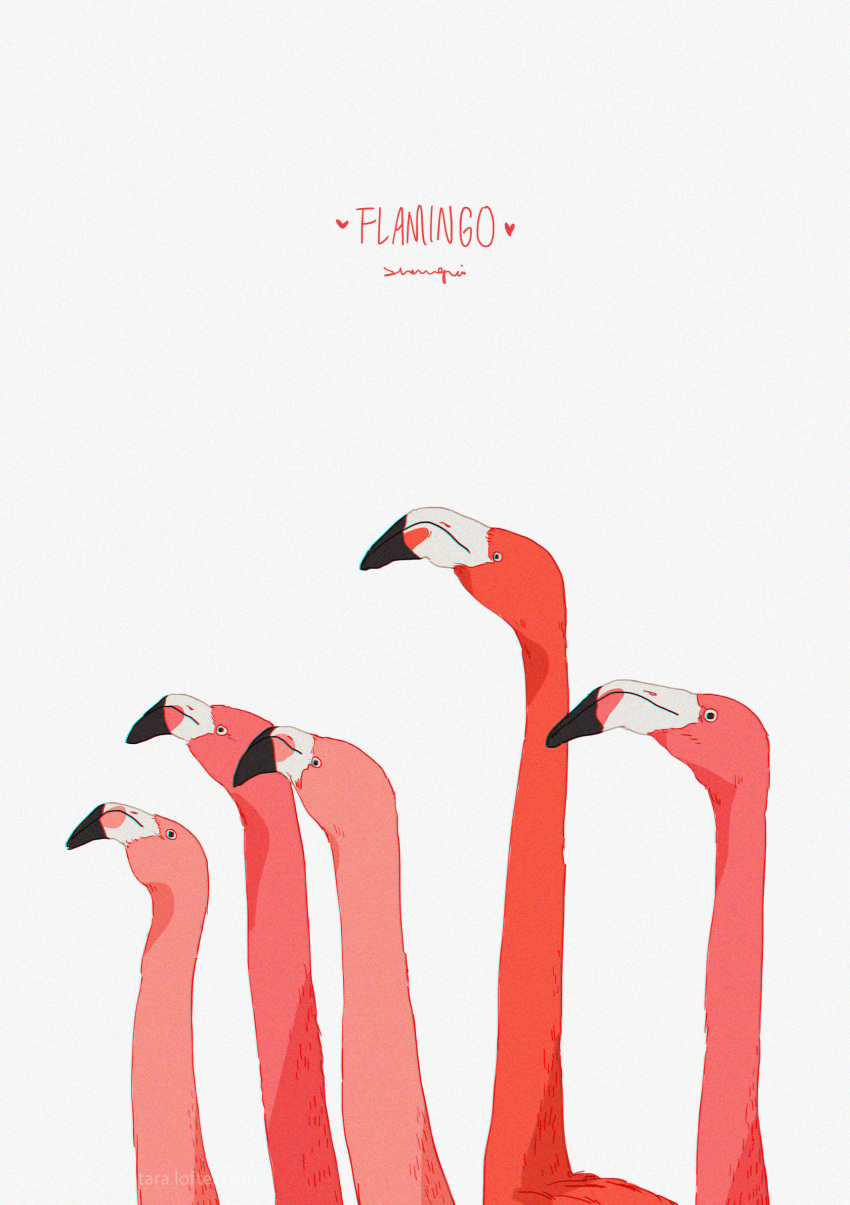 animal animal_focus artist_name bird chromatic_aberration closed_mouth commentary english_commentary english_text flamingo flock from_side heart highres looking_ahead no_humans original sidelighting signature simple_background standing upper_body white_background white_eyes xi_zhang