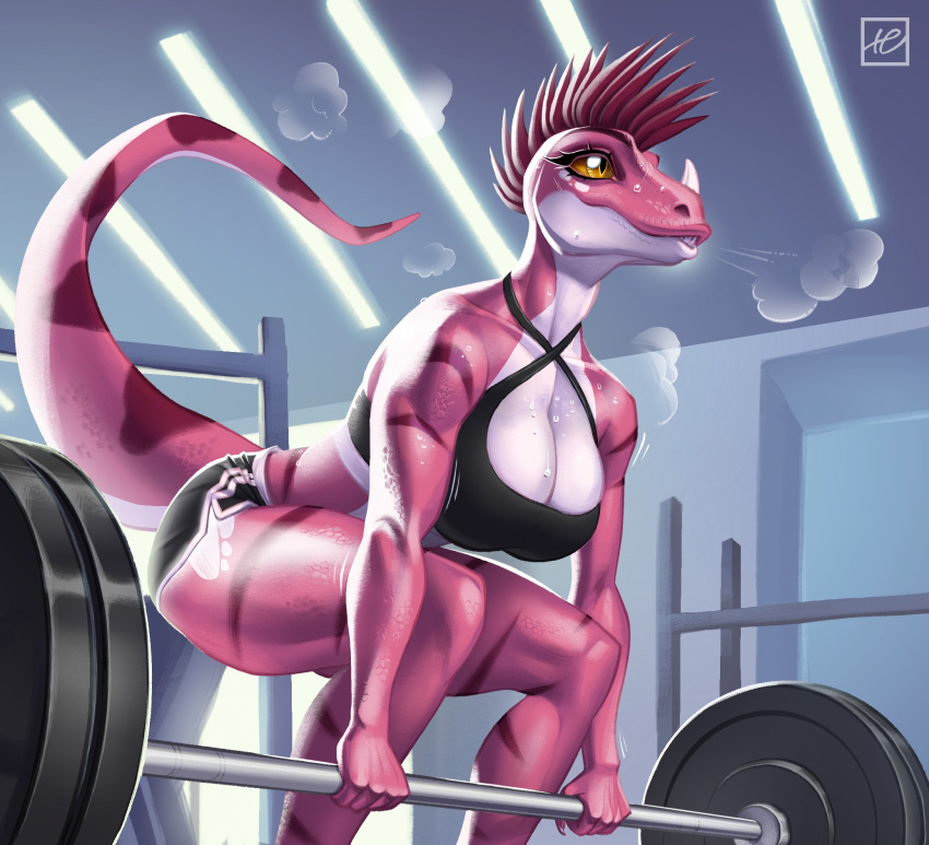 anthro athletic athletic_anthro athletic_female barbell big_breasts bodily_fluids bottomwear bra breasts breath cleavage clothed clothing crouching dinosaur dromaeosaurid exercise facial_horn female gym gym_bottomwear gym_clothing gym_shorts hi_res holivi horn nose_horn red_body red_scales reptile scales scalie shorts solo sports_bra sweat theropod underwear velociraptor weightlifting workout