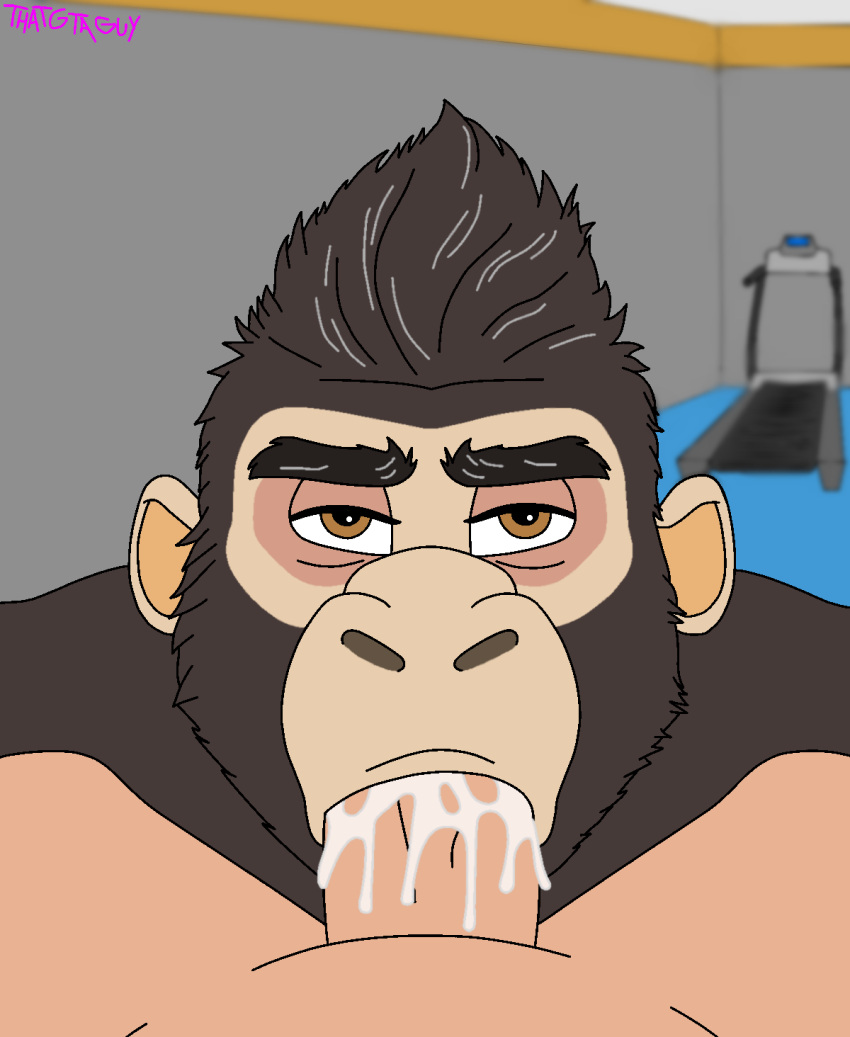 anthro anthro_penetrated ape bodily_fluids cum cum_in_mouth cum_inside daddy_kink drinking drinking_cum duo eye_contact fellatio genital_fluids gorilla gym haplorhine hi_res human human_on_anthro human_penetrating human_penetrating_anthro interspecies looking_at_another male male/male mammal mature_anthro mature_male oral penetration penile primate sex swallowing thatgtaguy